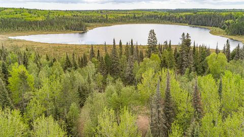 Tiny photo for TBD Victor Lake Rd, Isabella, MN 55607 (MLS # 6123597)