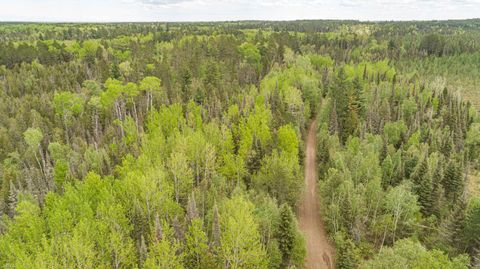 Tiny photo for TBD Victor Lake Rd, Isabella, MN 55607 (MLS # 6123597)