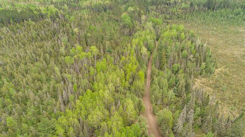 Tiny photo for TBD Victor Lake Rd, Isabella, MN 55607 (MLS # 6123597)