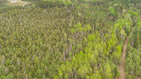 Tiny photo for TBD Victor Lake Rd, Isabella, MN 55607 (MLS # 6123597)