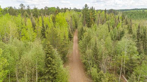 Tiny photo for TBD Victor Lake Rd, Isabella, MN 55607 (MLS # 6123597)