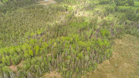 Tiny photo for TBD Victor Lake Rd, Isabella, MN 55607 (MLS # 6123597)