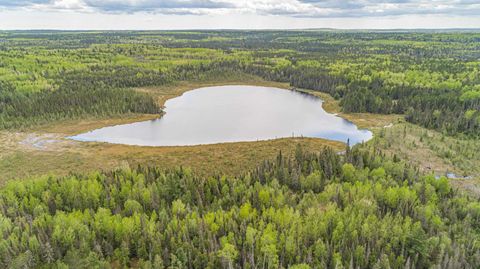 Tiny photo for TBD Victor Lake Rd, Isabella, MN 55607 (MLS # 6123597)