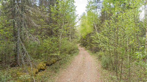 Tiny photo for TBD Victor Lake Rd, Isabella, MN 55607 (MLS # 6123597)