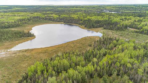 Tiny photo for TBD Victor Lake Rd, Isabella, MN 55607 (MLS # 6123597)