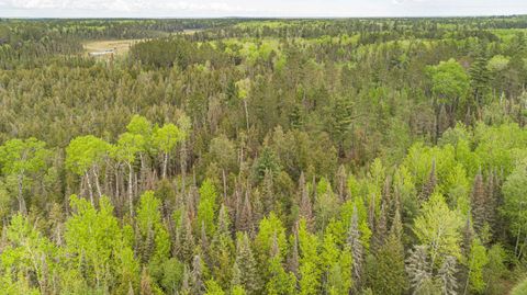 Tiny photo for TBD Victor Lake Rd, Isabella, MN 55607 (MLS # 6123597)