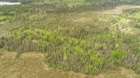Tiny photo for TBD Victor Lake Rd, Isabella, MN 55607 (MLS # 6123597)