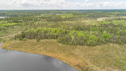 Tiny photo for TBD Victor Lake Rd, Isabella, MN 55607 (MLS # 6123597)