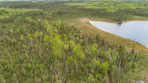 Tiny photo for TBD Victor Lake Rd, Isabella, MN 55607 (MLS # 6123597)
