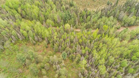 Tiny photo for TBD Victor Lake Rd, Isabella, MN 55607 (MLS # 6123597)