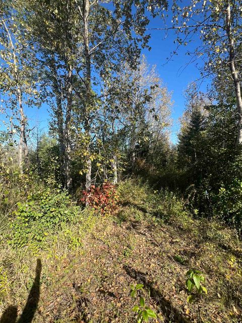 Tiny photo for XXX Hwy 133, Meadowlands, MN 55765 (MLS # 6122121)