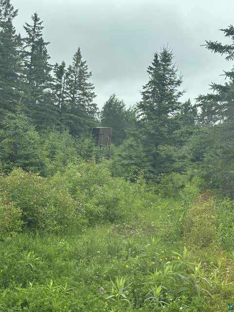 Tiny photo for 3767 Hwy 23, Holyoke, MN 55749 (MLS # 6126463)