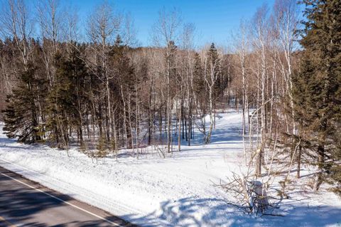 Tiny photo for 49 Morris Thomas Rd, Hermantown, MN 55811 (MLS # 6124065)