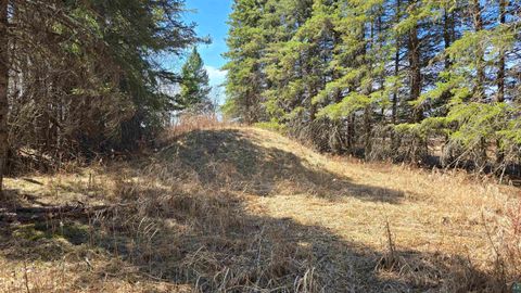 Tiny photo for 3293 Greaney Rd, Orr, MN 55771 (MLS # 6125182)