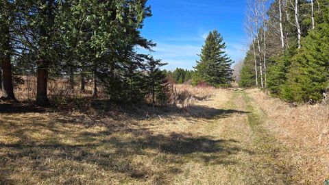 Tiny photo for 3293 Greaney Rd, Orr, MN 55771 (MLS # 6125182)