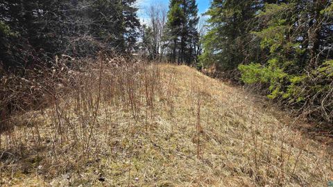 Tiny photo for 3293 Greaney Rd, Orr, MN 55771 (MLS # 6125182)
