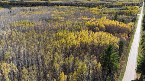 Tiny photo for 289 Rangeline Rd, Orr, MN 55771 (MLS # 6128393)