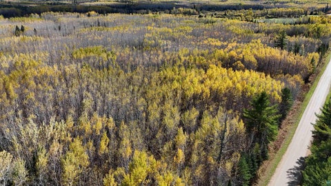 Tiny photo for 289 Rangeline Rd, Orr, MN 55771 (MLS # 6128393)