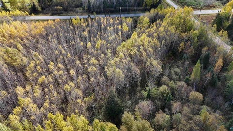 Tiny photo for 289 Rangeline Rd, Orr, MN 55771 (MLS # 6128393)