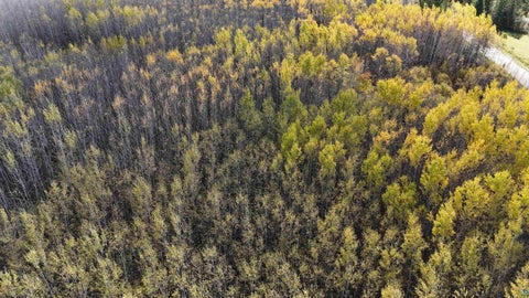 Tiny photo for 289 Rangeline Rd, Orr, MN 55771 (MLS # 6128393)