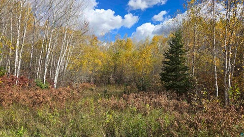 Tiny photo for 289 Rangeline Rd, Orr, MN 55771 (MLS # 6128393)