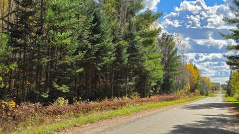 Tiny photo for 289 Rangeline Rd, Orr, MN 55771 (MLS # 6128393)