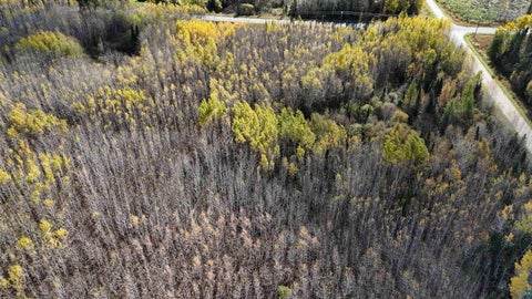 Tiny photo for 289 Rangeline Rd, Orr, MN 55771 (MLS # 6128393)