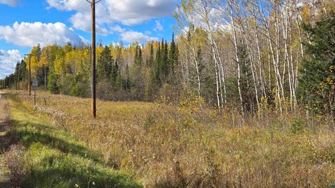 Tiny photo for 289 Rangeline Rd, Orr, MN 55771 (MLS # 6128393)