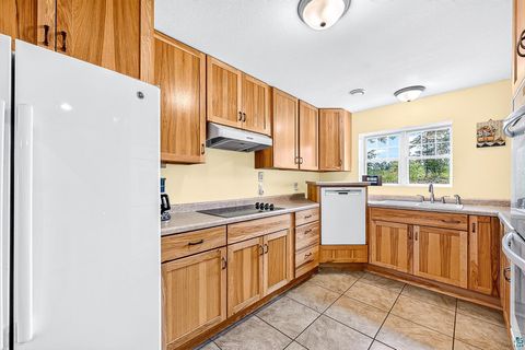 Tiny photo for 9369 Pequaywan Lake Rd, Duluth, MN 55803 (MLS # 6126473)