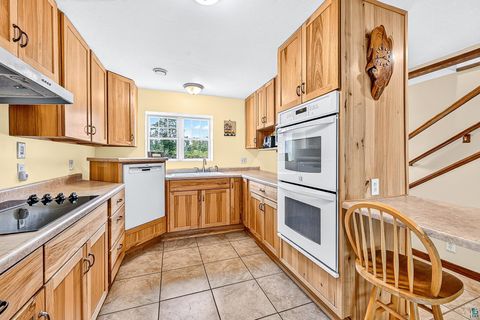 Tiny photo for 9369 Pequaywan Lake Rd, Duluth, MN 55803 (MLS # 6126473)