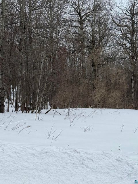 Tiny photo for 10 Joshua Ave, Duluth, MN 55811 (MLS # 6124138)