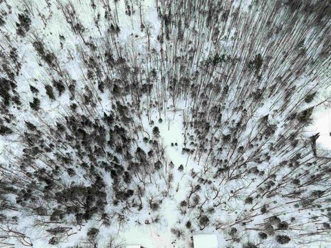 Tiny photo for 1024 Sorenson Rd, Holyoke, MN 55749 (MLS # 6123594)