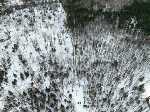 Tiny photo for 1024 Sorenson Rd, Holyoke, MN 55749 (MLS # 6123594)