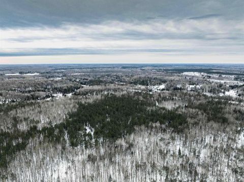 Tiny photo for 1024 Sorenson Rd, Holyoke, MN 55749 (MLS # 6123594)