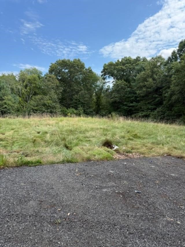 394 Snake Hill Road
