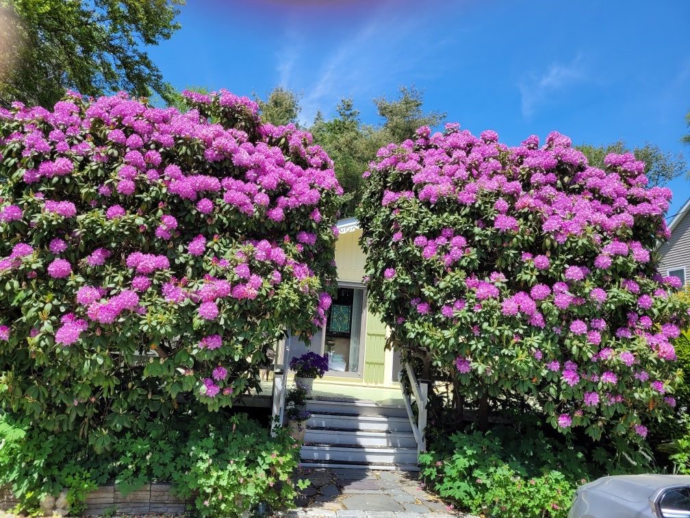108 Steamboat Street