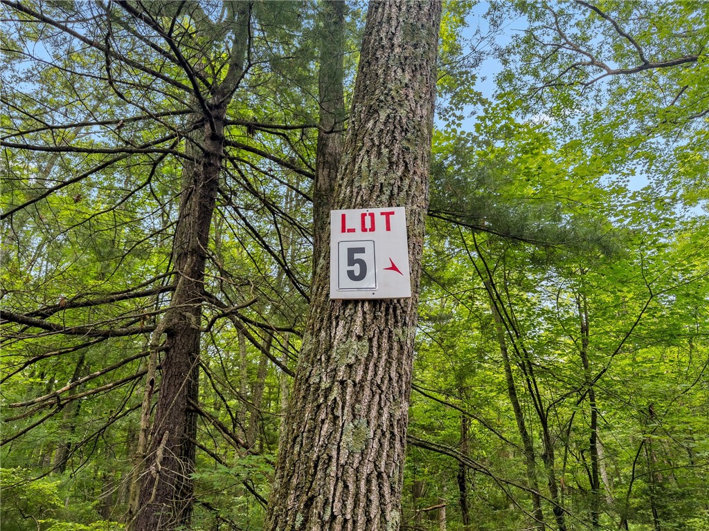 245 LOT 5 Reservoir Road