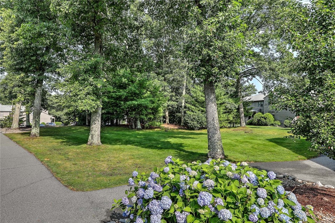 2705 Pinewood Drive