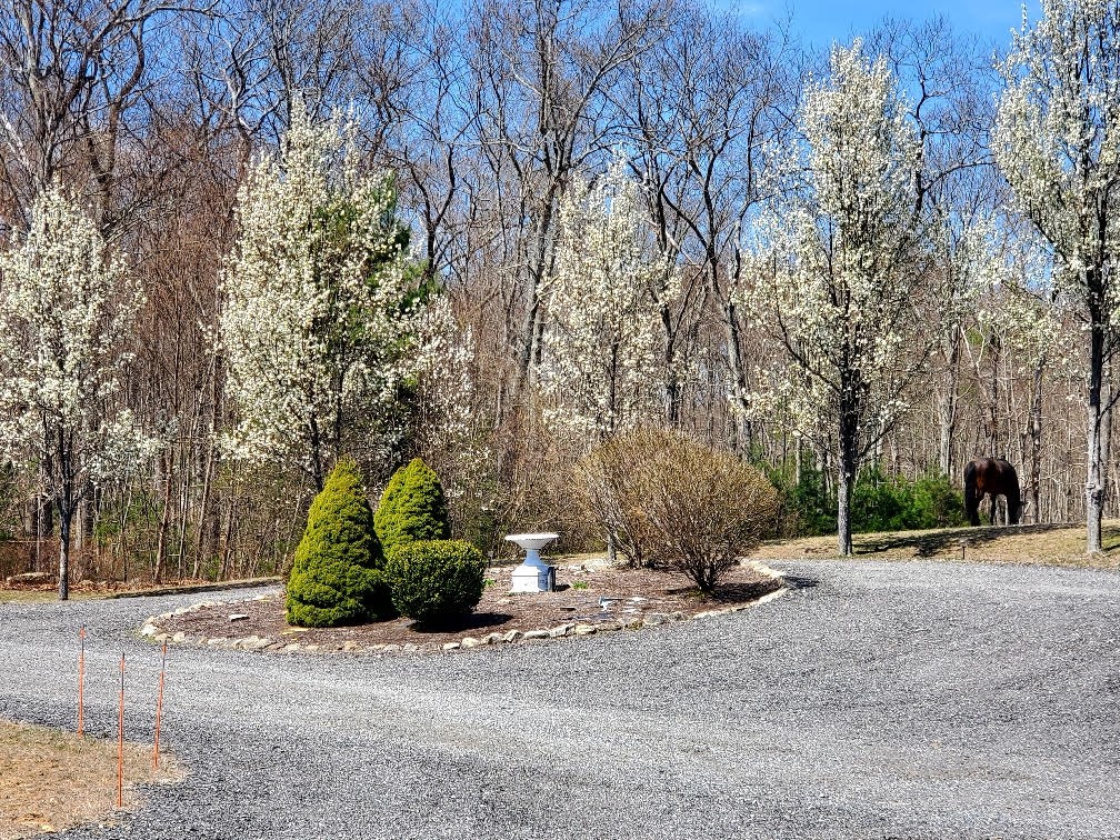 320 Franklin Road Road