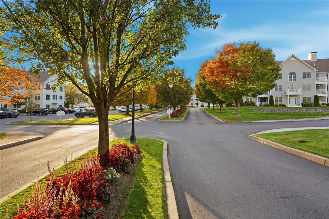 40 Saw Mill Drive 204