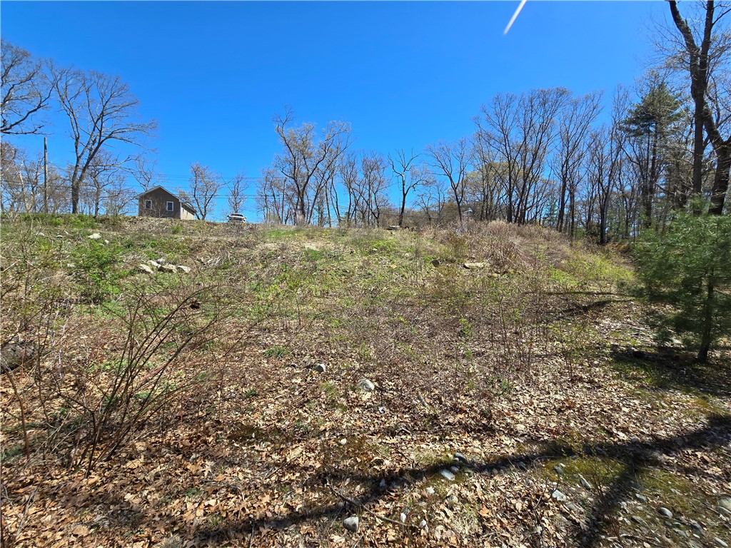 210 Log Road
