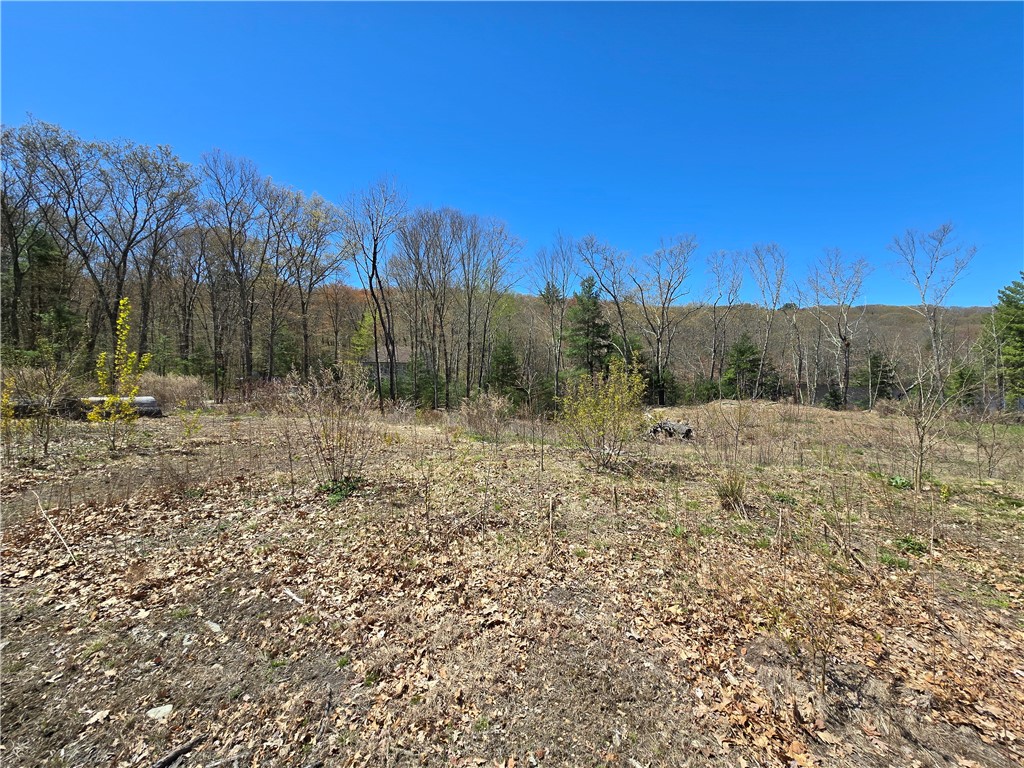 210 Log Road