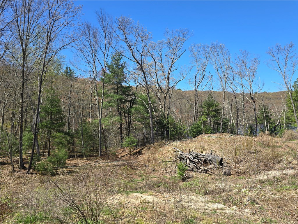 210 Log Road