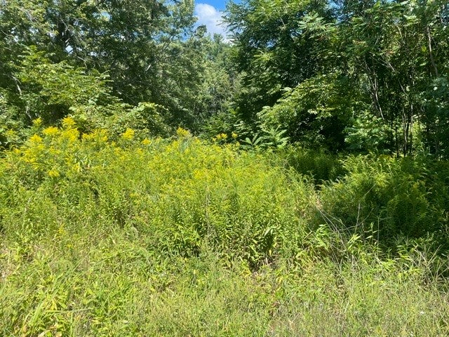 0 Wallum Lake Road