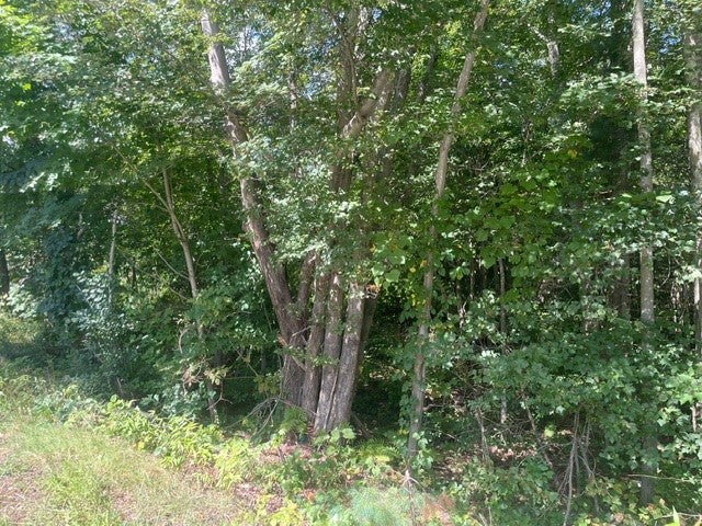 0 Wallum Lake Road