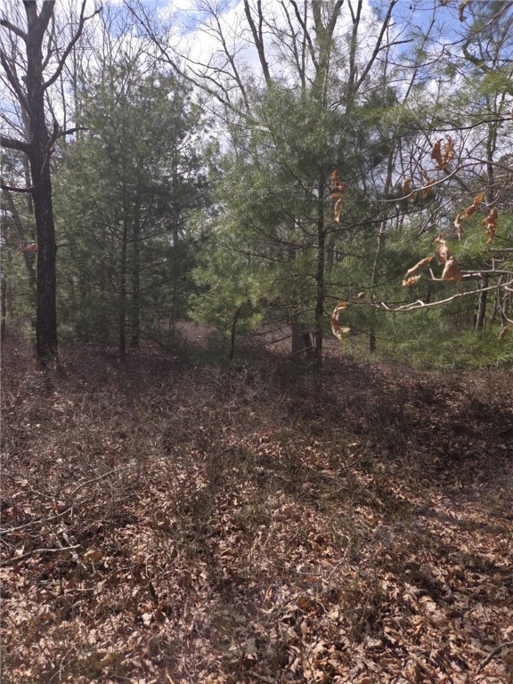 477 Plain Road