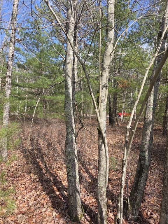 477 Plain Road