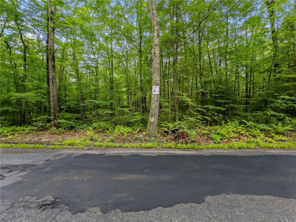 245 LOT 4 Reservoir Road