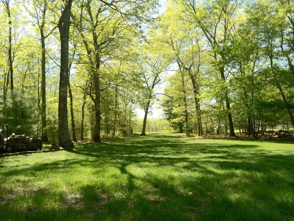 453 Plain Road