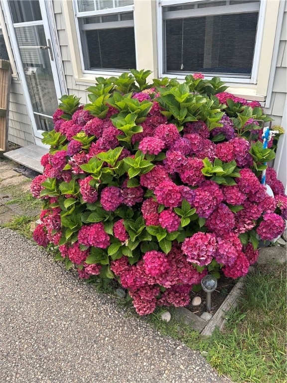 240 R6W Carpenters Beach Road